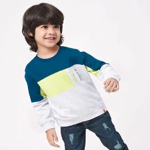 Boys Color Block Sweatshirt